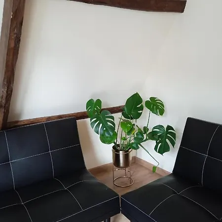 De Peregrinos Compostela Auberge de jeunesse *