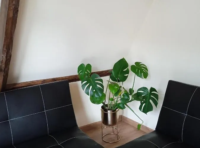 De Peregrinos Compostela 호스텔 *